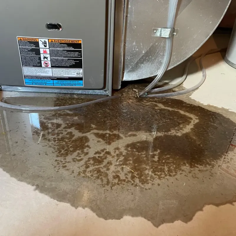 Appliance Leak Cleanup in Grand Blanc, MI